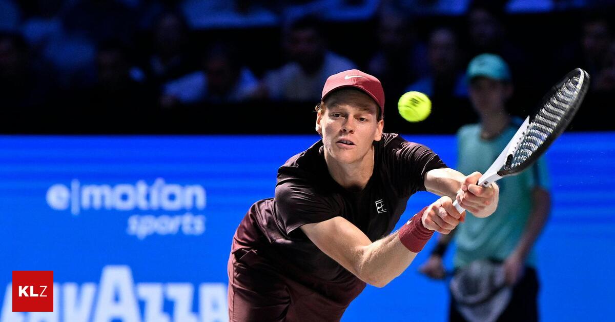 sinner flip flops men's